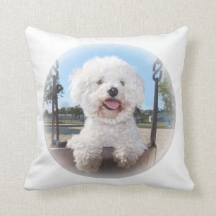 Coussin Ajoutez une photo et n'importe quel jet fait sur