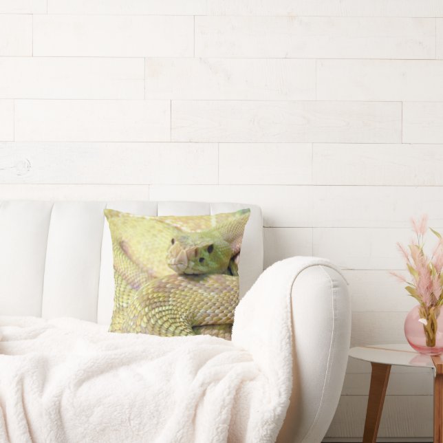 Coussin Albino Rattlesnake (Canapé)