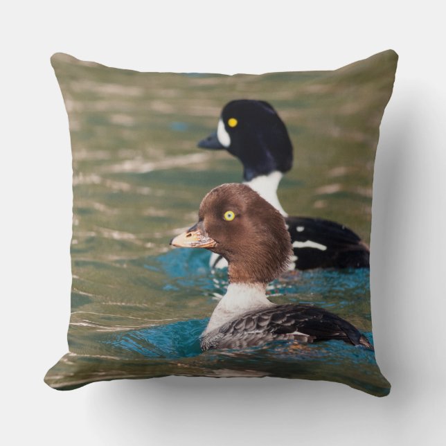 Coussin Alert Goldeneye (Recto)