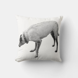 Coussin Alerte Esprit d'automne