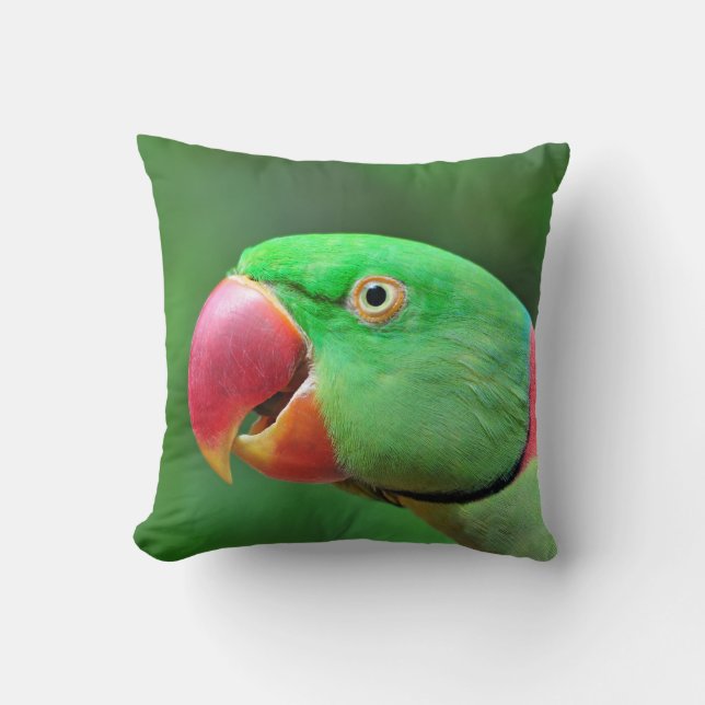 Coussin Alexandrine Parakeet (Recto)
