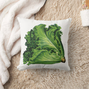 Coussin Aliments Anciens, Légumes de laitue à feuilles ver