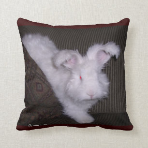 COUSSIN ALLEMAND DE L'ANGORA BUNNIE