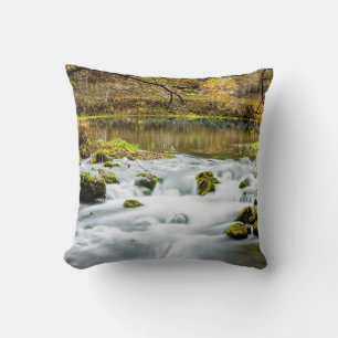 Coussin Alley Springs Rapids