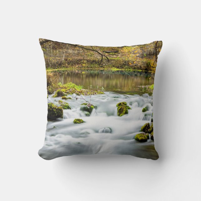 Coussin Alley Springs Rapids (Recto)