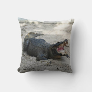 Coussin Alligator, Fort Lauderdale, Floride