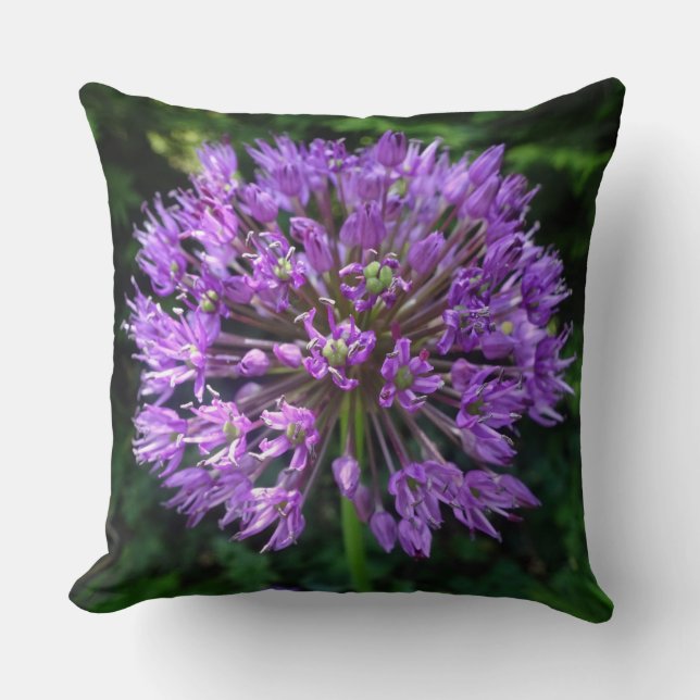 Coussin Allium pourpre Étouffez l'oreiller (Recto)