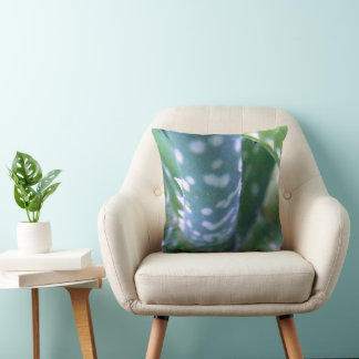 Coussin Aloe, Bug's View