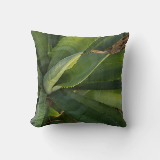 Coussin Aloe Vera (Recto)