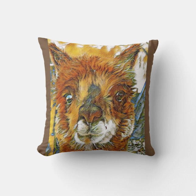 Coussin Alpaga (Recto)