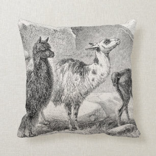 Coussin Alpaga vintages de lamas de modèle d'alpaga de