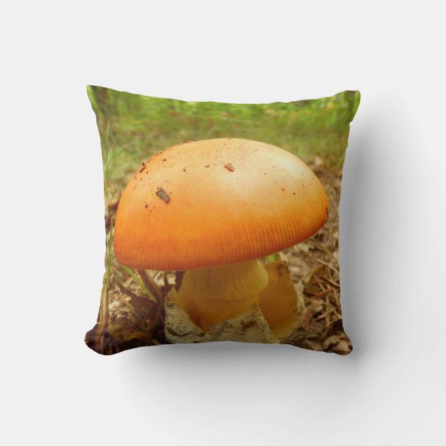 Coussin Amanita Césarée Champignons Thon Cuisine (Recto)