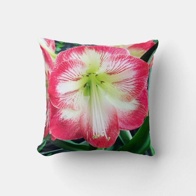 Coussin Amaryllis rose blanc couleur rose douce branche de (Recto)