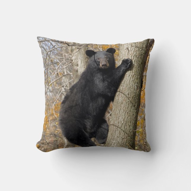 Coussin américain d'arbre d'escalade d'ours noir (Recto)