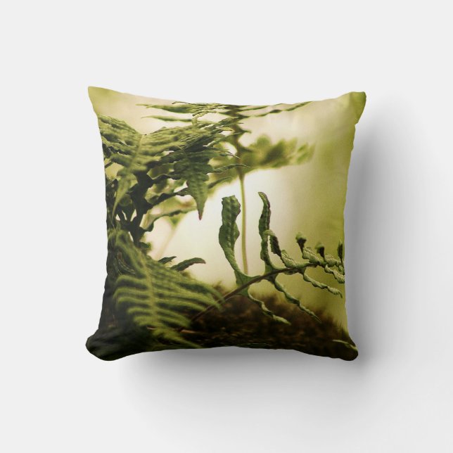 Coussin américain du MoJo de Fern Forest (Recto)