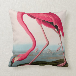 Coussin American Flamant rose Birds of America Audubon Imp