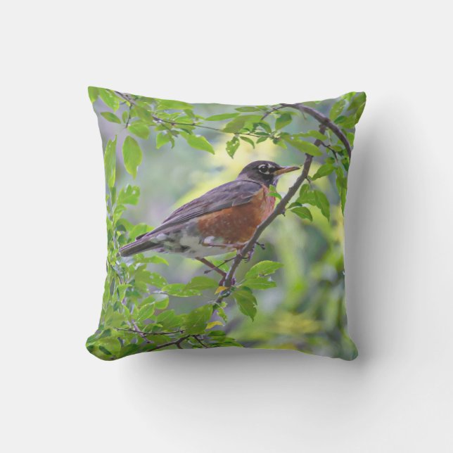 Coussin American Robin Bird in Tree Green Feuilles (Recto)