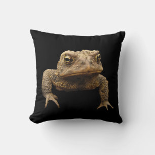 Coussin American Toad