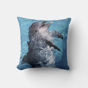 Coussin Amérique du Nord, États-Unis, Hawaï. Dauphin