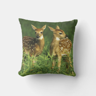 Coussin Amérique du Nord, États-Unis, Minnesota. Cerf à qu