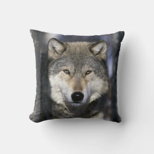 Coussin Amérique du Nord, États-Unis, Minnesota. Loup Cani