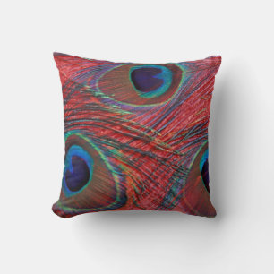 Coussin Amérique du Nord, États-Unis, WA, Redmond, Paon