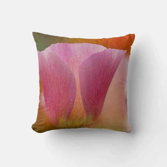 Coussin Amérique du Nord, États-Unis, Washington, Seattle, (Recto)