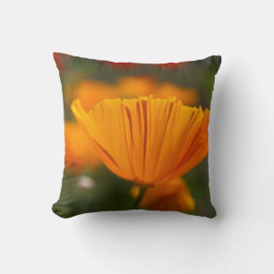 Coussin Amérique du Nord, États-Unis, Washington, Seattle,