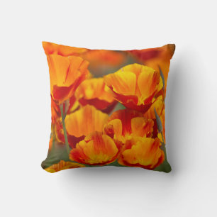 Coussin Amérique du Nord, États-Unis, Washington, Seattle