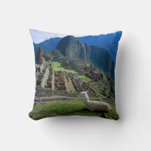 Coussin Amérique du Sud, Pérou. Un lama se repose sur une