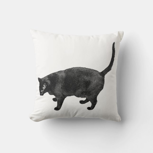 Coussin Ami Élégant Sur Chaque Canapé (Recto)