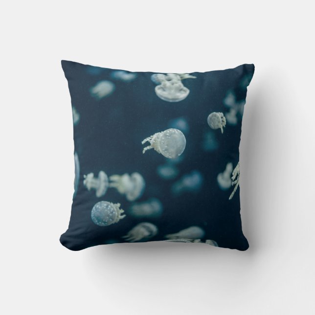 COUSSIN AMIS (Recto)
