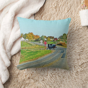 COUSSIN "AMISH BUGGY DANS UNE CAMPAGNE PAISIBLE"
