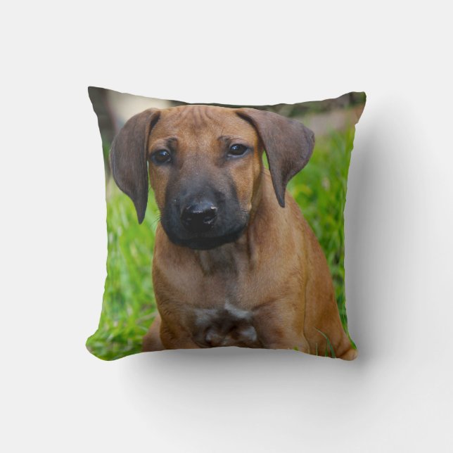 Coussin Amour de chiot IV (Recto)