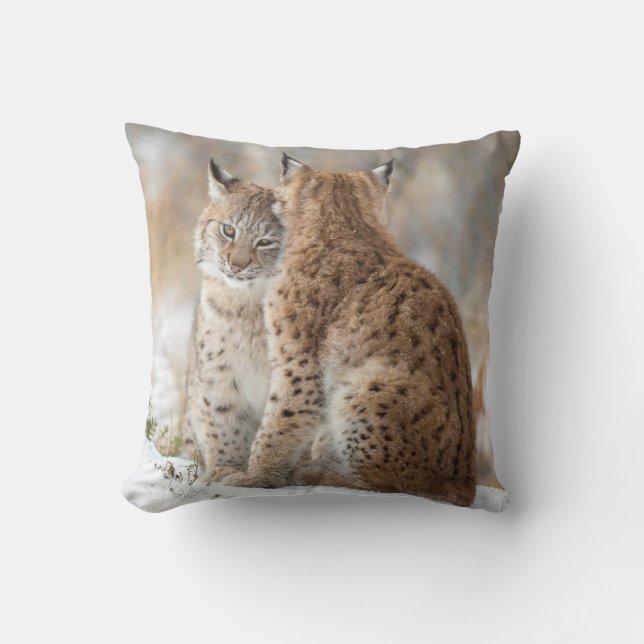 Coussin Amour de Lynx (Recto)