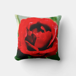 Coussin Amour de rose rouge 