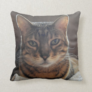 Coussin Amour du Bengale