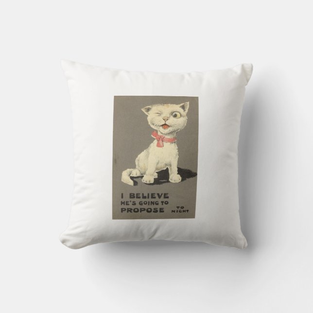 Coussin Amoureux des chats lancer l'oreiller (Recto)