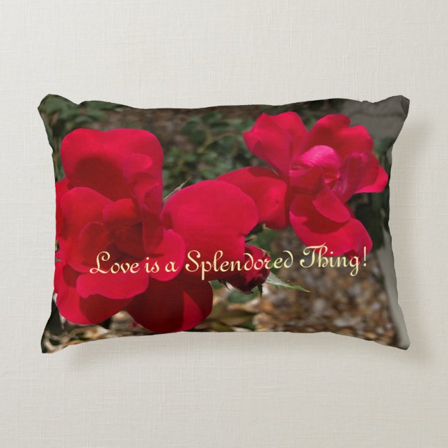 Coussin amoureux pour la Saint Valentin ! (Devant)