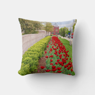 Coussin Ampoules de recouvrement