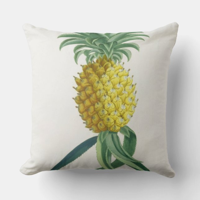 Coussin Ananas gravé par Johann Jakob Haid (1704-67) (Recto)