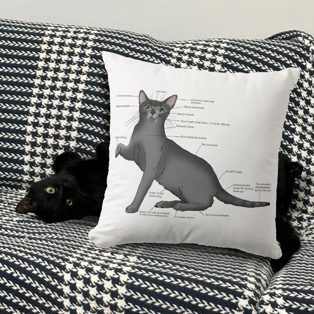 Coussin Anatomie du chat amusant (Créateur téléchargé)