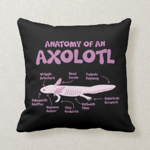 Coussin anatomie d'un axolotl axolotls biologie science .