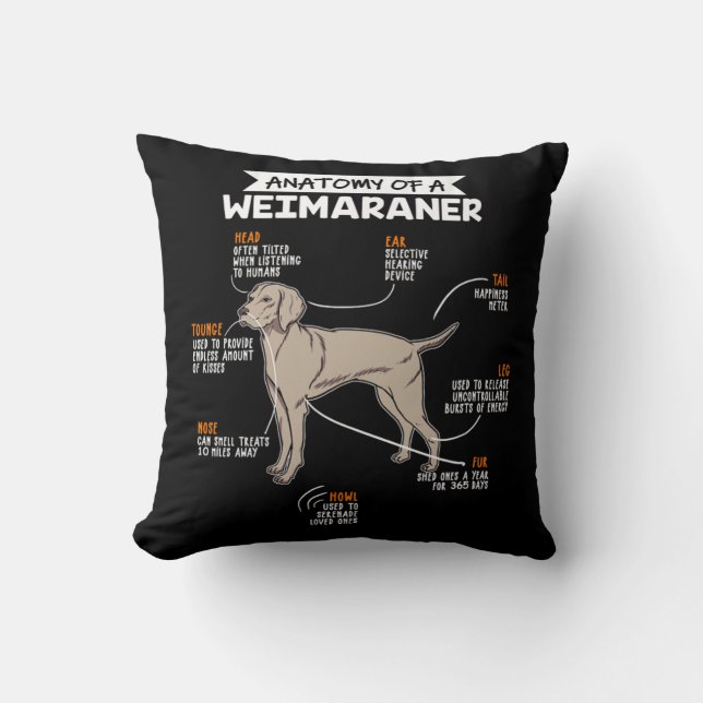 Coussin Anatomie D'Un Chien Weimaraner (Recto)