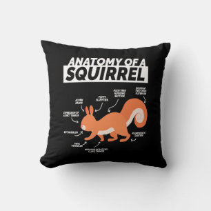 Coussin Anatomie D'Un Écureuil
