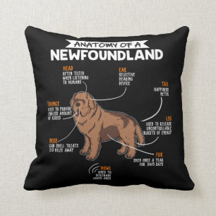 Coussin Anatomie D'Un Propriétaire De Chien Funny À Terre-