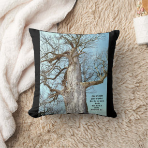 Coussin Ancien Ash Zacharie 4:6