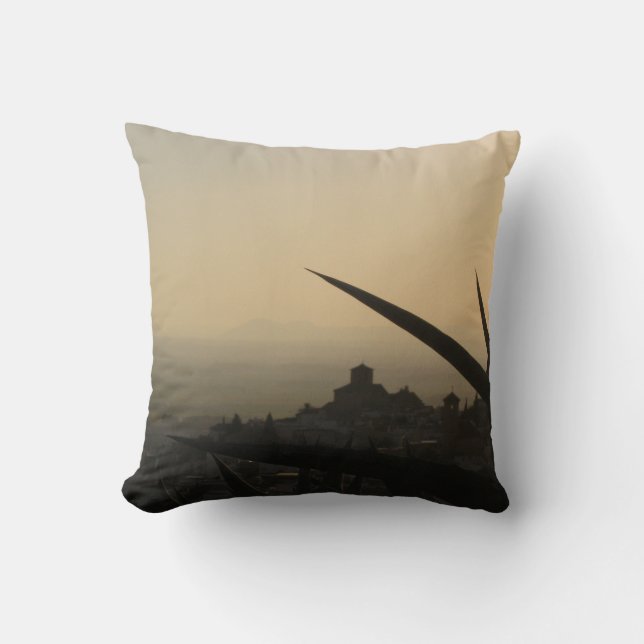 Coussin Andalousie sensation Poussin 41 cm x 41 cm (Recto)