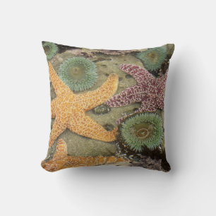 Coussin Anémones vertes géantes et étoiles de mer ocre