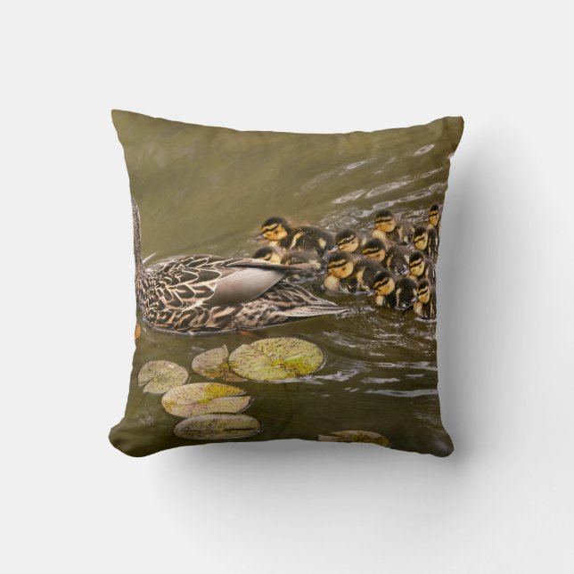 Coussin Animal - Canards - Nager comme un canard (Recto)